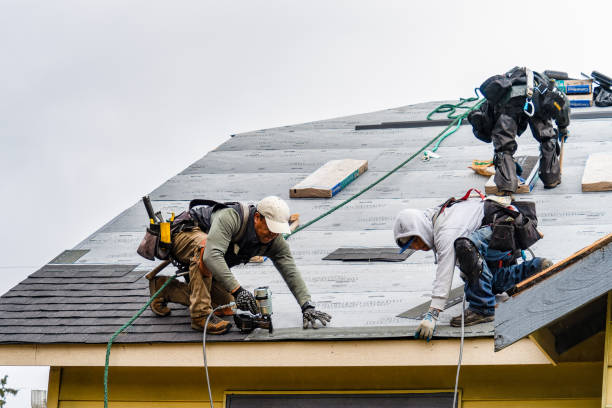 Professional Roof Inspection technician working in Oak Brook, IL